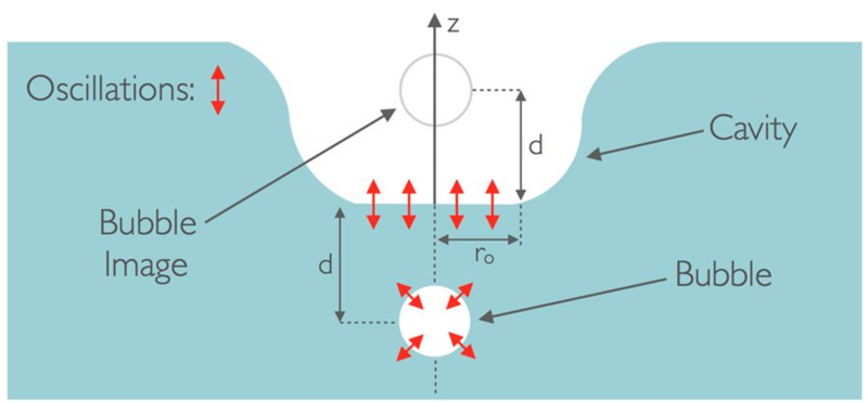 Diagram showing the bubble vibrations (red arrows) involved in producing a drip sound.